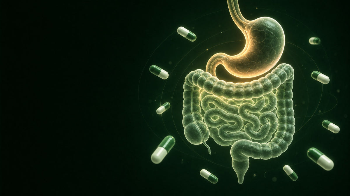 The Actives a Slowed Gut Actually Needs